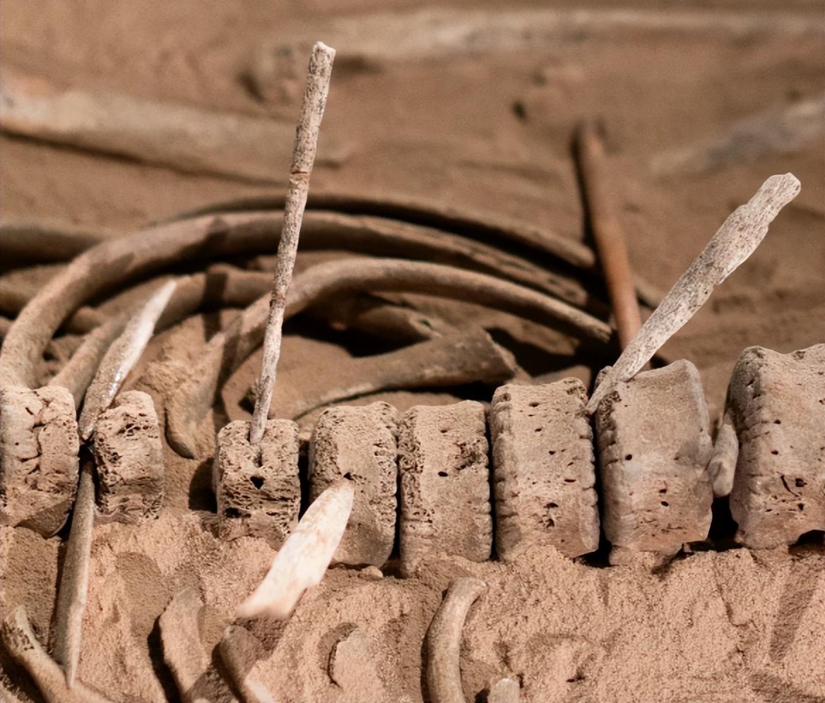 她为什么会全身都无一处完整 零口姑娘的死亡之谜大揭秘