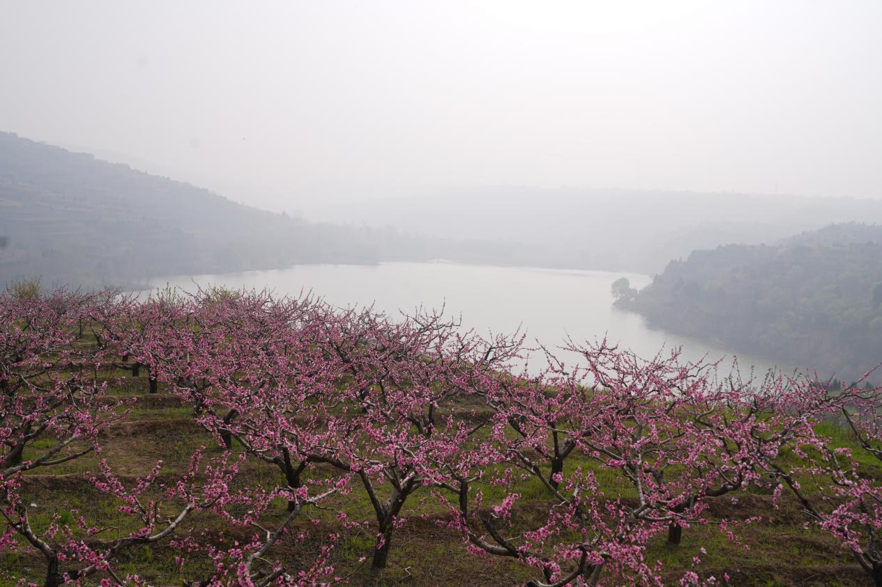 ��������ʢ�� ��������������2023�괺�μ���·��Ʒ