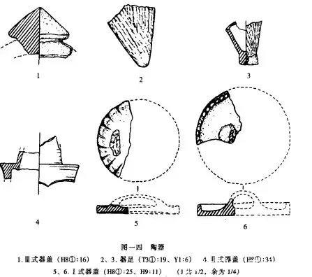 ����ʡ��������������ڱ�ţ��ַ�����