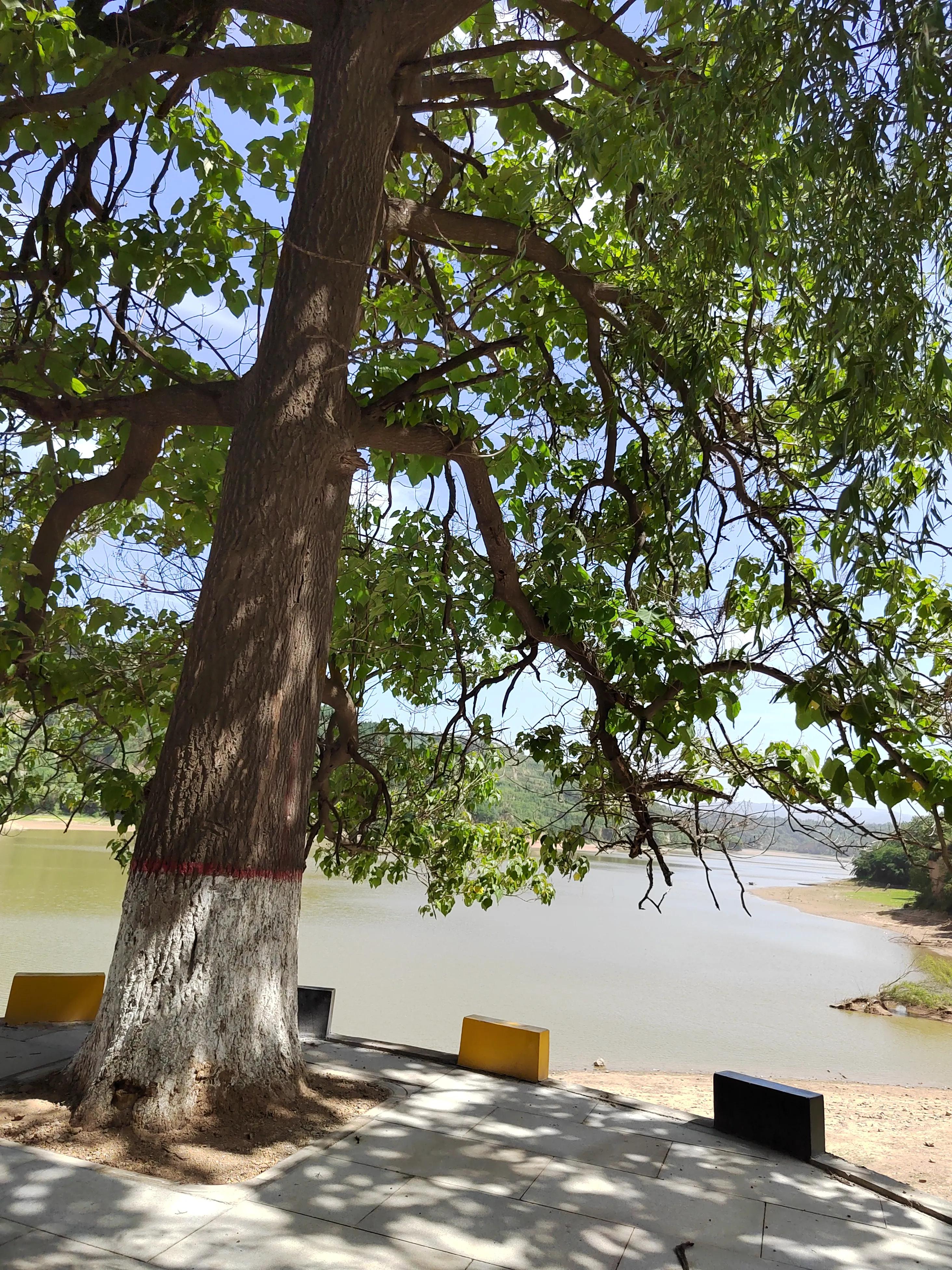 �����и����ˮ��