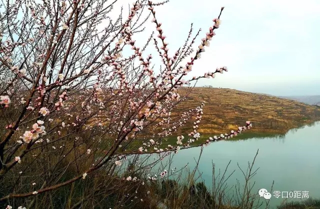 �������|�һ������Ѷ���������Ҫ�ٵ�һ��!