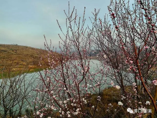 �������|�һ������Ѷ���������Ҫ�ٵ�һ��!