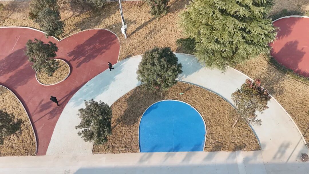 �������ʮ���塱ح��ӣ��԰��ũ��Ժ