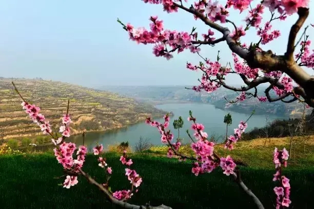 ��ڵ��һ������������ϣ���������������