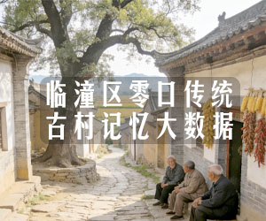 临潼区零口传统古村记忆大数据