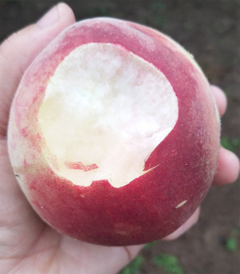 ��ڶ������ˮ��