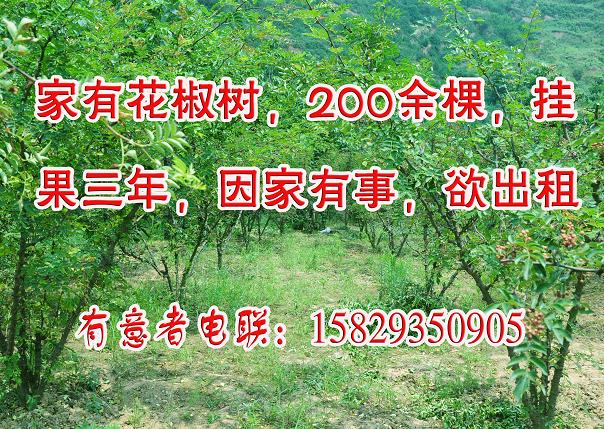 未命名1622038884.jpg